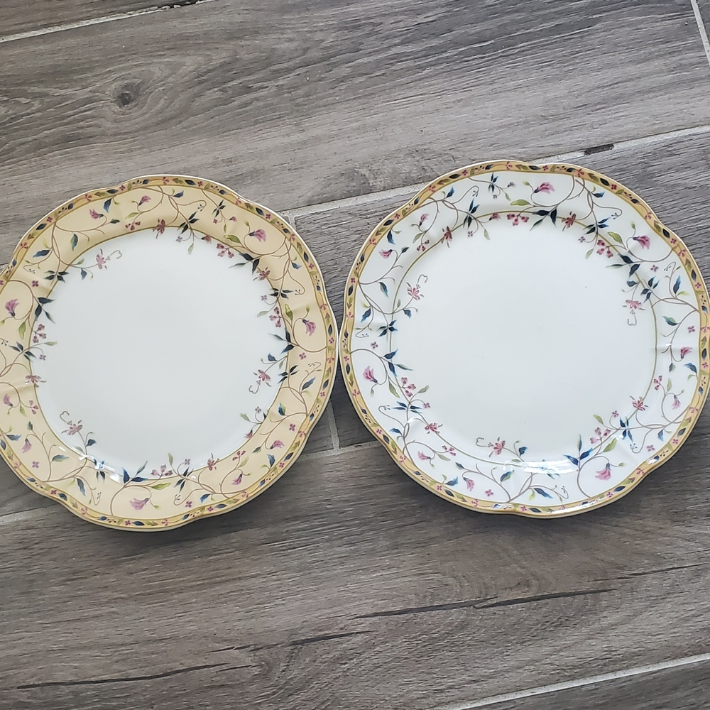 Porcelain Dinner Plates with Yellow Floral Border - Set of 2